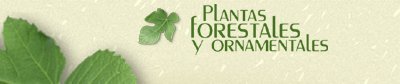 Plantas Forestales y Ornamentales